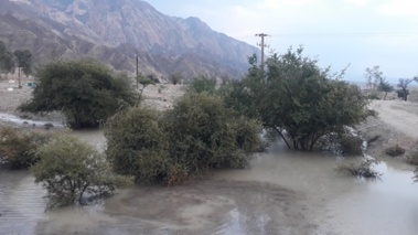 احیای ۲ هزار هکتار اراضی بایر تا تثبیت سطح آب‌های زیرزمینی دشت محموداحمدی اهرم