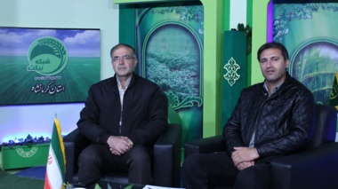 توسعه باغات زیتون؛ راهکاری پایدار برای کشاورزی استان کرمانشاه