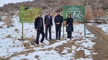 بازدید کارگروه گیاه پزشکی در حوزه منابع طبیعی از ذخیره‌گاه طبیعی بلوط در شهرستان سربند