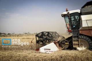 مکانیزاسیون؛ موتور محرکه جهش تولید گندم خوزستان