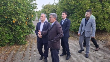 بازدید از کلکسیون باغات مرکبات و خرما و امکانات واقع در مرکز تحقیقات و آموزش کشاورزی جنوب کرمان