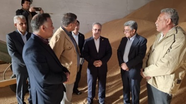 بازدید معاون وزیر و رئیس سازمان تحقیقات، آموزش و ترویج کشاورزی از شرکت خصوصی تولید بذر مادری گندم در رودبار جنوب