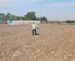 شروع اجرای طرح مشارکتی مدیریت تغذیه گندم در استان بوشهر