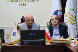 رستم‌پور: پژوهش، زیربنای تصمیم‌گیری‌های اثرگذار در شیلات است