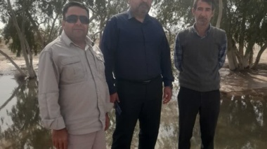 بازدید از جنگل دستکاشت اکالیپتوس بر آبخوان آب باریک شهرستان گنبکی