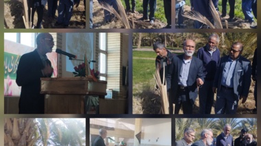 اولین سمینار تخصصی خرما با عنوان  تغذیه و مدیریت آفات نخیلات در روستای دهلسم نهبندان برگزار شد