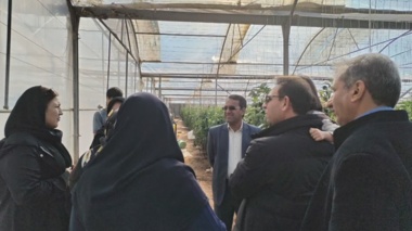 برگزاری کارگاه آموزشی مدیریت گلخانه‌های جالیزی درشهرستان سیرجان استان کرمان