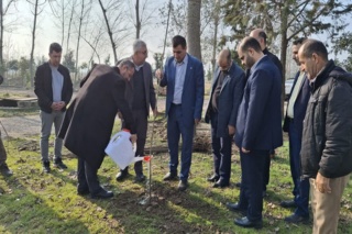 آیین کشت ۱۷۶۵ اصله نهال صنوبر در نکوداشت و یاد شهدای شهرستان بابل در ایستگاه ملی گاودشت برگزار گردید