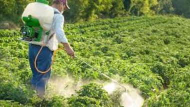 ارزیابی احتمال خطر آفت‌کش‌ها در کشاورزی رویکردی علمی برای کاهش مخاطرات بهداشتی و زیست‌محیطی و حرکت به سوی کاربرد آفت‌کش‌های کم‌خطر