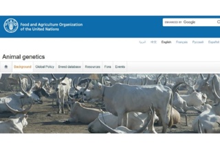 انتخاب پنج اثر ایرانی در زمینه منابع ژنتیکی دامی توسط سازمان فائو