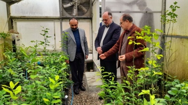 بازدید رئیس سازمان جهاد کشاورزی استان مازندران از پژوهشکده مرکبات و میوه‌ های نیمه ‌گرمسیری