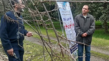 دوره مهارت افزایی با موضوع هرس کیوی  برگزار شد