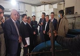 تأکید رئیس سازمان تحقیقات، آموزش و ترویج کشاورزی بر تقویت تحقیقات شیلاتی در آب‌های داخلی