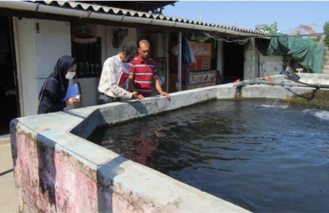 بازدید از مزارع پرورش ماهیان سردآبی و گرمابی شهرستان‌های محمودآباد و نور