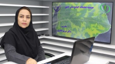 تشخیص و مدیریت بیماری برگ سوختگی بادام