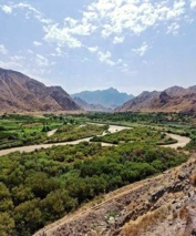 جنگل‌های کران‌رودی ارس، گنجینه‌ای بی‌نظیر از تنوع گونه‌های گیاهی