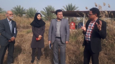 بازدید معاون برنامه‌ریزی و پشتیبانی و مدیر امور مالی موسسه  تحقیقات علوم باغبانی از پژوهشکده خرما و میوه‌های گرمسیری
