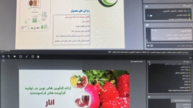 ارائه فناوری‌های نوین تولید فرآورده‌های فراسودمند انار در وبینار علمی پژوهشکده مرکبات و میوه‌های نیمه‌گرمسیری