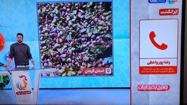 بررسی تنش آبی و استفاده از سیستم‌های هوشمند آبیاری