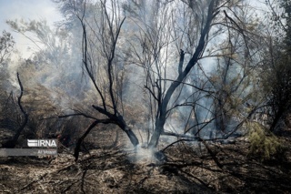 مهار آتش در جنگل‌ها؛ از پیشگیری تا فناوری‌های نوین