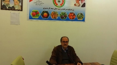 رویداد تخصصی تنش یخبندان در میوه‌های نیمه‌گرمسیری در پژوهشکده مرکبات و میوه‌های نیمه‌گرمسیری