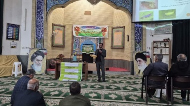 آموزش شناسایی و کنترل زنجره مو با تأکید بر مدیریت تلفیقی آفات