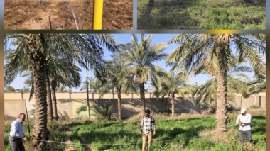 آغاز مرحله نخست نقشه‌برداری و میخ‌کوبی برای ساماندهی و توسعه ذخایر ژنتیکی خرمای کشور در اهواز