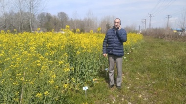 گیلان؛ کانون نوآوری کشاورزی
