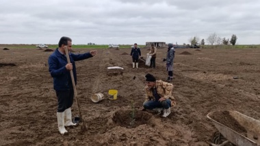 عملیات غرس نهال درختان مثمر و سم پاشی مزارع در ایستگاه تحقیقات شوری آق‌قلا