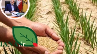 بذر مقاوم محور اصلی سازگاری کشاورزی ایران با تغییر اقلیم است
