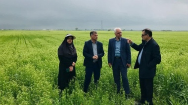 روشنی رئیس مرکز تحقیقات کشاورزی گلستان در بازدید از فعالیت های سربازان گمنام امنیت غذایی ایستگاه تحقیقات کشاورزی گنبد