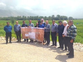 کوددهی هدفمند؛ کلید دستیابی به عملکرد بالاتر گندم