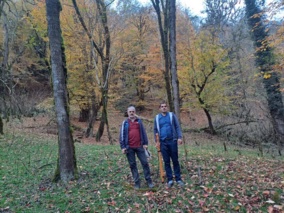 ارزش پنهان جنگل‌های هیرکانی