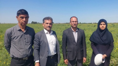بازدید معاون پژوهشی و کمیته فنی بخش تحقیقات زراعی و باغی مرکز تحقیقات و آموزش کشاورزی گلستان از مزارع تولید بذر و آزمایشات ایستگاه عراقی‌محله