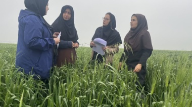 نظارت تخصصی بر طرح نوین «کودآبیاری» در علی‌آباد کتول توسط محقق مرکز تحقیقات و آموزش کشاورزی