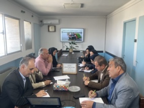 آغاز فرآیند پیاده‌سازی شبکه ملی مزارع الگویی کشاورزی