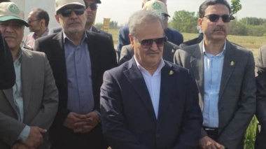 بیش از 99 درصد ارقام گندم کشت‌شده در کشور حاصل تحقیقات محققان مؤسسه تحقیقات اصلاح و تهیه نهال و بذر است