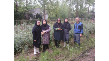 شکوفایی دانش در مزرعه