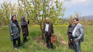 انتقال دانش گیاه‌پزشکی به باغداران اهر برای مقابله با لکه سیاه سیب