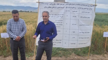 تحول در دیم‌زارهای کلاله با تکیه بر یافته‌های نوین پژوهشی / بازدید رئیس مؤسسه تحقیقات دیم کشور از مزرعه کشاورز اراز قلی سلطانی شیخی