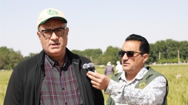 خودکفایی کامل در تولید بذر گندم و جو/ صرفه‌جویی ارزی یک میلیارد دلاری با اتکاء به تحقیقات داخلی