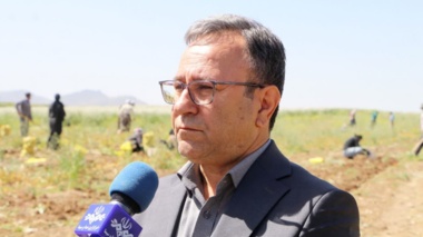 الگویی نوین از تلفیق دانش بومی و تحقیقات علمی در مزرعه کشاورز پیشرو