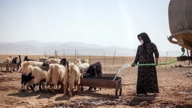 توانمندسازی کارشناسان امور عشایر خوزستان در مواجهه با خشکسالی