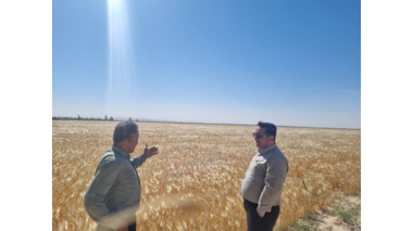 بازدید تخصصی مدیران مرکز از گرمسار و آرادان با محور ارتقای بهره‌وری، توسعه زیرساخت‌ها و تقویت رویکردهای فناورانه