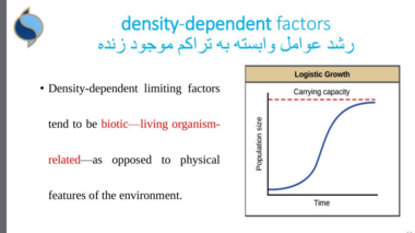 آغاز دوره آموزشی «پویایی جمعیت» برای محققین ارزیابی ذخایر آبزیان در موسسه تحقیقات علوم شیلاتی کشور