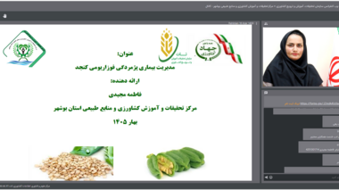 برگزاری وبینارآموزشی-ترویجی مدیریت بیماری پژمردگی فوزاریومی کنجد