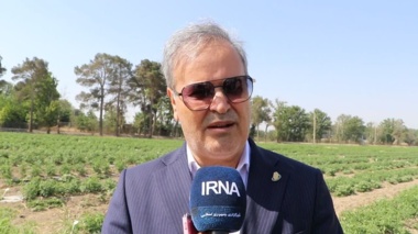 ۱۰ هزار هکتار اراضی کشاورزی کشور زیر پوشش آبیاری هوشمند قرار گرفت