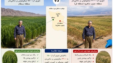 گزارش نهایی طرح تحقیقاتی اثر کیفیت آب آبیاری بر تولید علوفه غلات پاییزه در استان سمنان منتشر شد