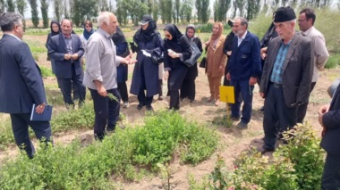پژوهشگران اردبیلی بر توسعه گیاهان دارویی و زراعت چوب با رویکرد بهره‌برداری پایدار تأکید کردند