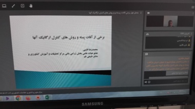 راهکارهای کنترل ارگانیک آفات پسته در یک کارگاه آموزشی تخصصی بررسی شد